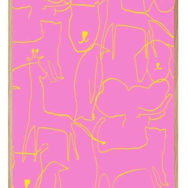 CONECCTIONS PINK