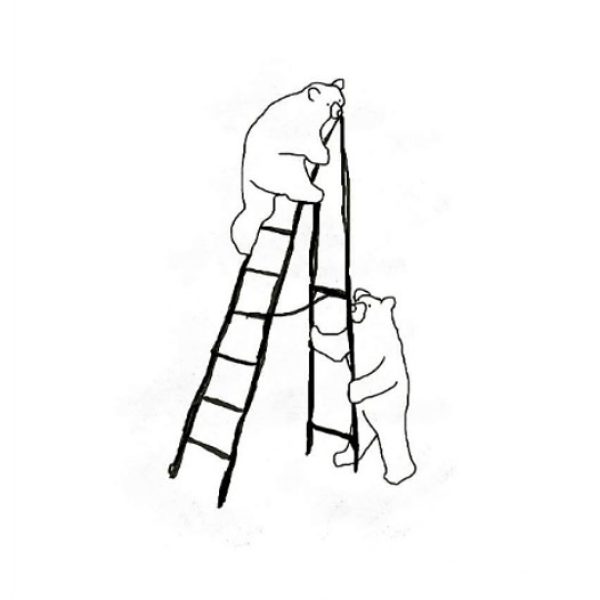 bears on ladder